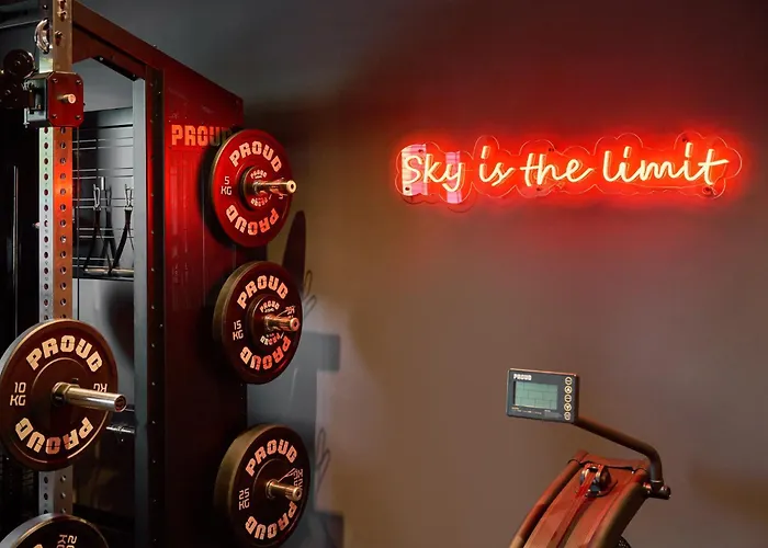 Ibis Styles Katowice Airport Hotel 3*