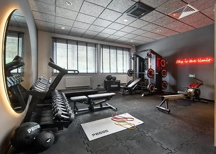 Hotel Ibis Styles Katowice Airport 3*