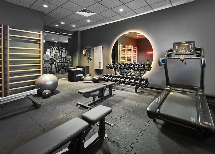 Hotel Ibis Styles Katowice Airport 3*