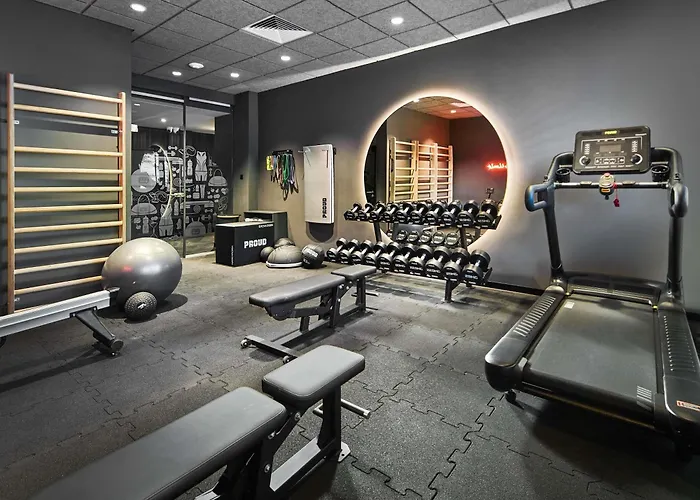 Hotel Ibis Styles Katowice Airport Pyrzowice