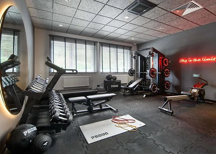 Hotel Ibis Styles Katowice Airport