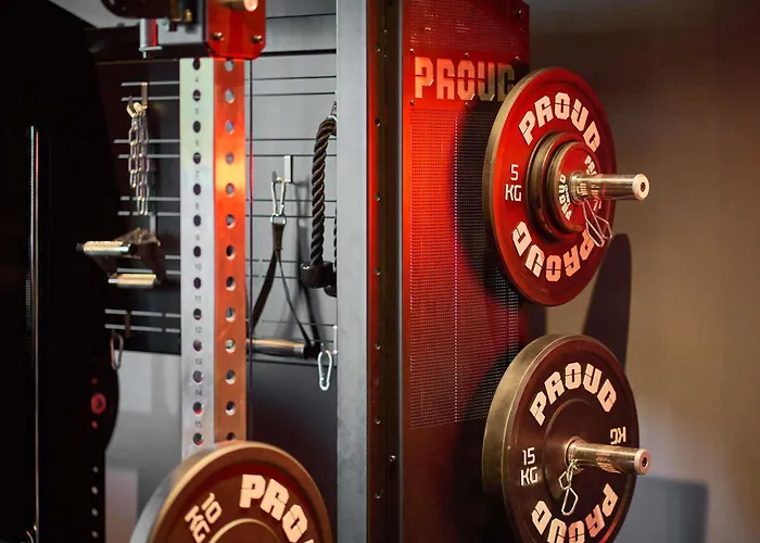 Ibis Styles Katowice Airport Hotel